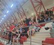 Fanii „câinilor” urmăresc FC Argeș - Dinamo în sala din Ștefan cel Mare