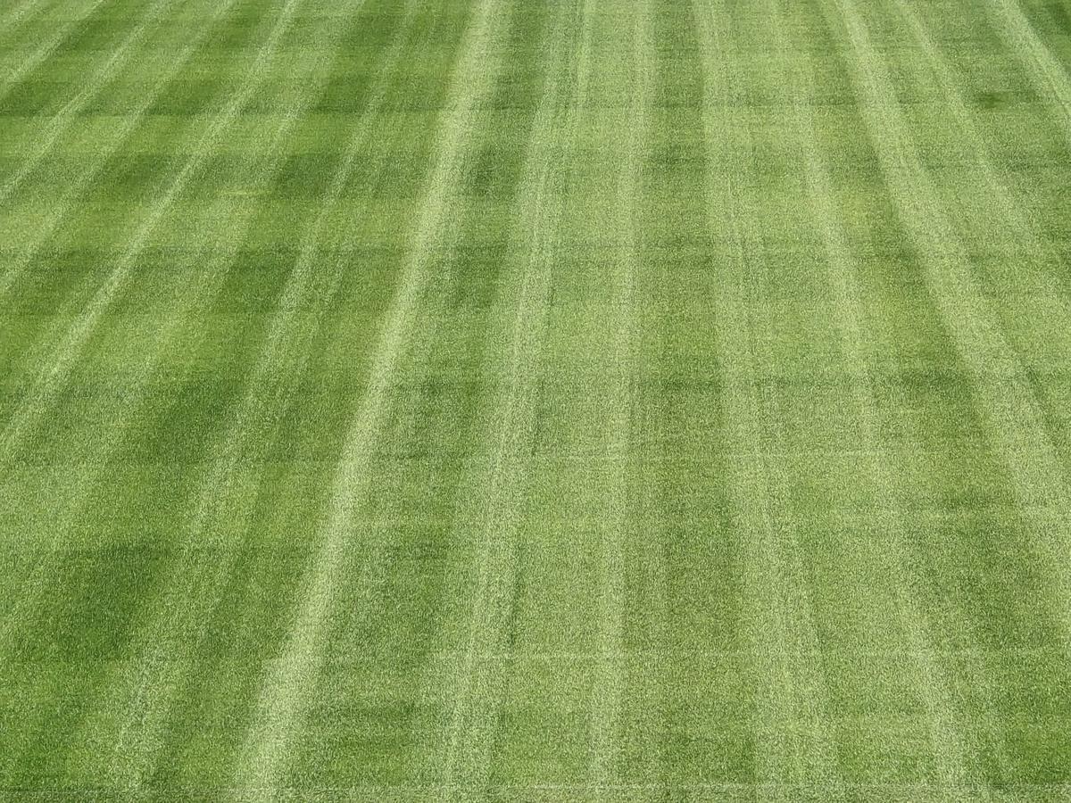 Gazeta a intrat pe „Ernst Happel” din Viena: primele imagini de la stadionul care va găzdui Austria - România