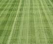 Gazeta a intrat pe „Ernst Happel” din Viena: primele imagini de la stadionul care va găzdui Austria - România
