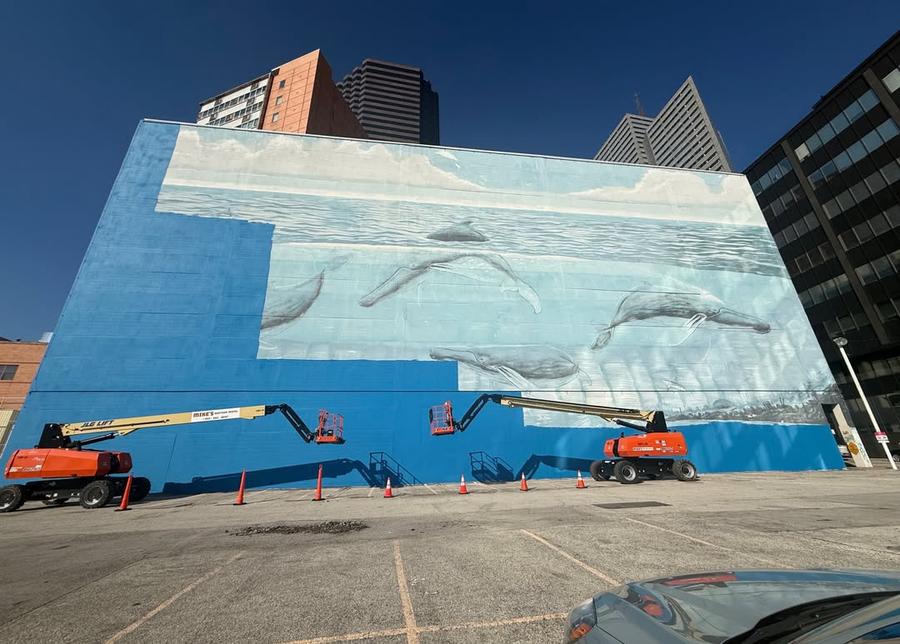 Muralul Whaling Wall 82 // FOTO: Instagram I-au șters pictura murală în pregătirile pentru Mondial! Proces de 25 milioane de dolari