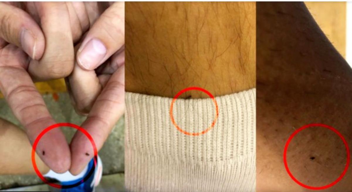 Sala Sporturilor din Trivale - prima polivalentă a Piteștiului urmează să se transforme