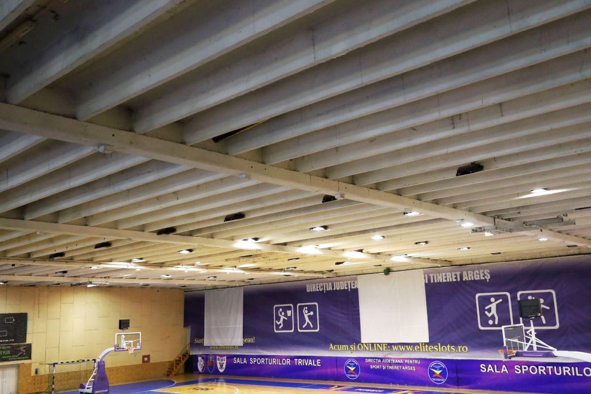 Au semnat! Cât îi costă să reabiliteze polivalenta invadată de purici