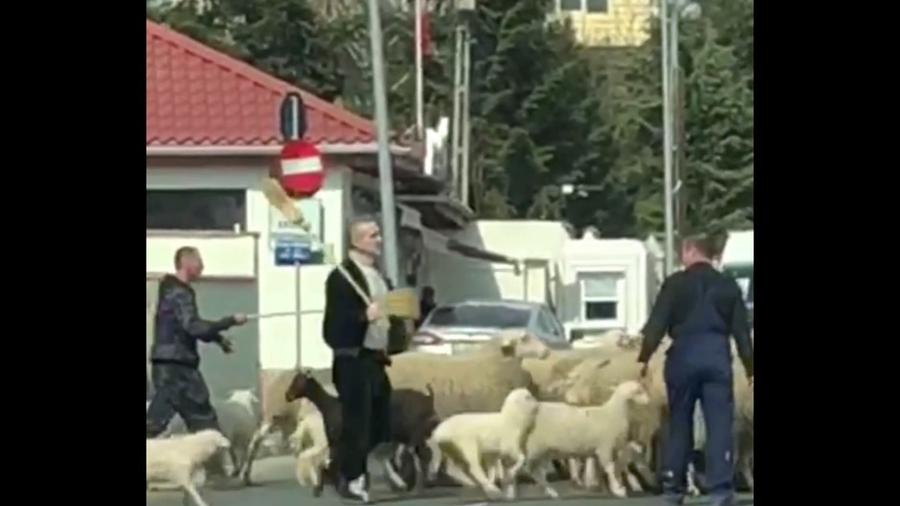 Ce naiba sărbătorim?