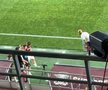 Când va reveni Răzvan Onea, accidentat cu FC Botoșani