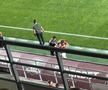 Când va reveni Răzvan Onea, accidentat cu FC Botoșani
