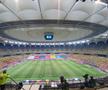 Gazon Arena Națională: România - Irlanda de Nord