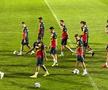 Cum pregătește Rădoi meciul cu Liechtenstein » Imagini de la antrenamentul oficial