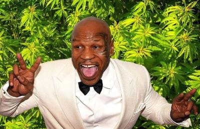 Nu se mai ascunde! Mike Tyson s-a făcut fermier și cultivă marijuana în Caraibe