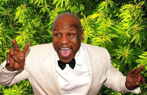 Nu se mai ascunde! Mike Tyson s-a făcut fermier și cultivă marijuana în Caraibe