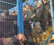 Suporterii lui Dinamo s-au „altoit” între ei la Ovidiu » Jandarmii care au încercat să intervină au primit un răspuns halucinant: „Și dacă nu ne calmăm, ce ne faci?”