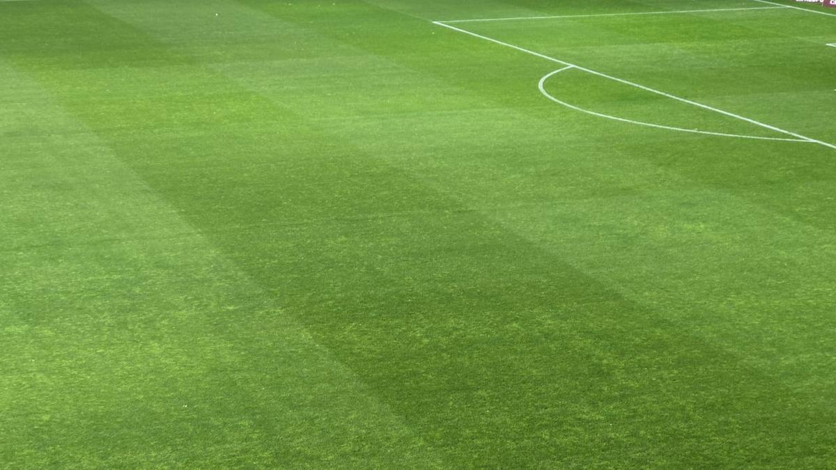 Rapid - Farul, imagini înaintea partidei din Giulești