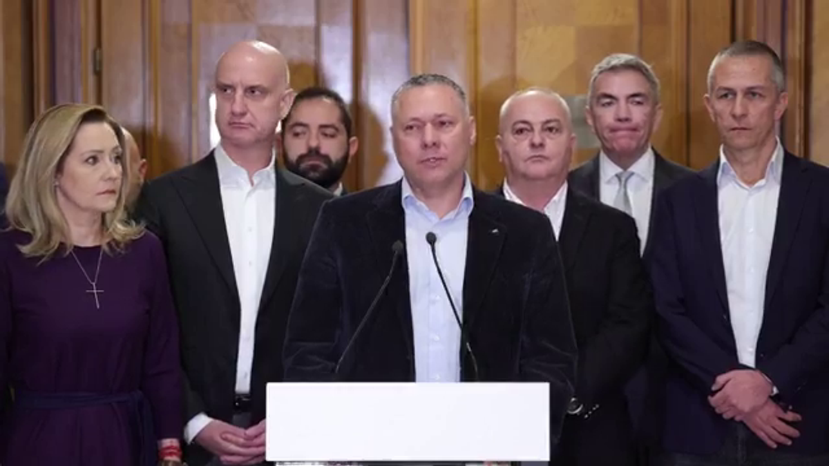 Dan Sucu - Parlament