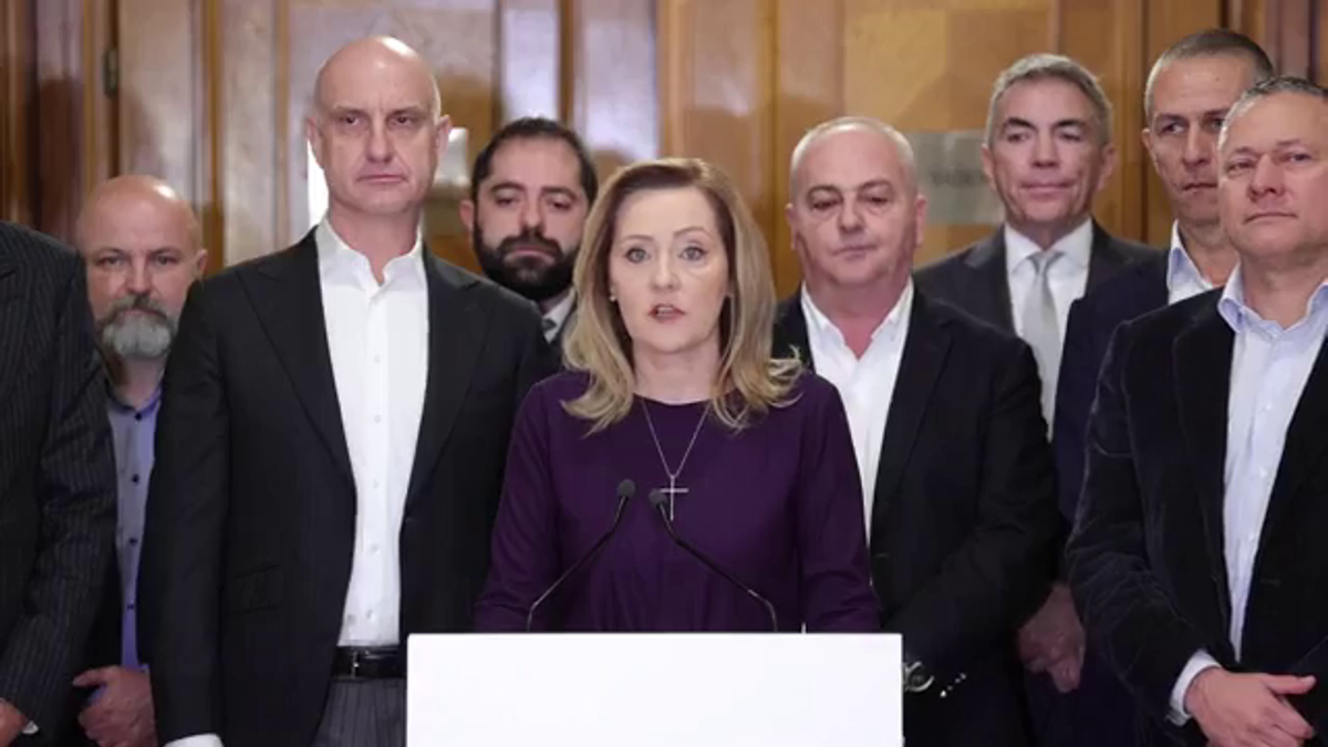 Dan Șucu a mers în Parlament și a ales între Călin Georgescu și Elena Lasconi: „Nu mai merge”
