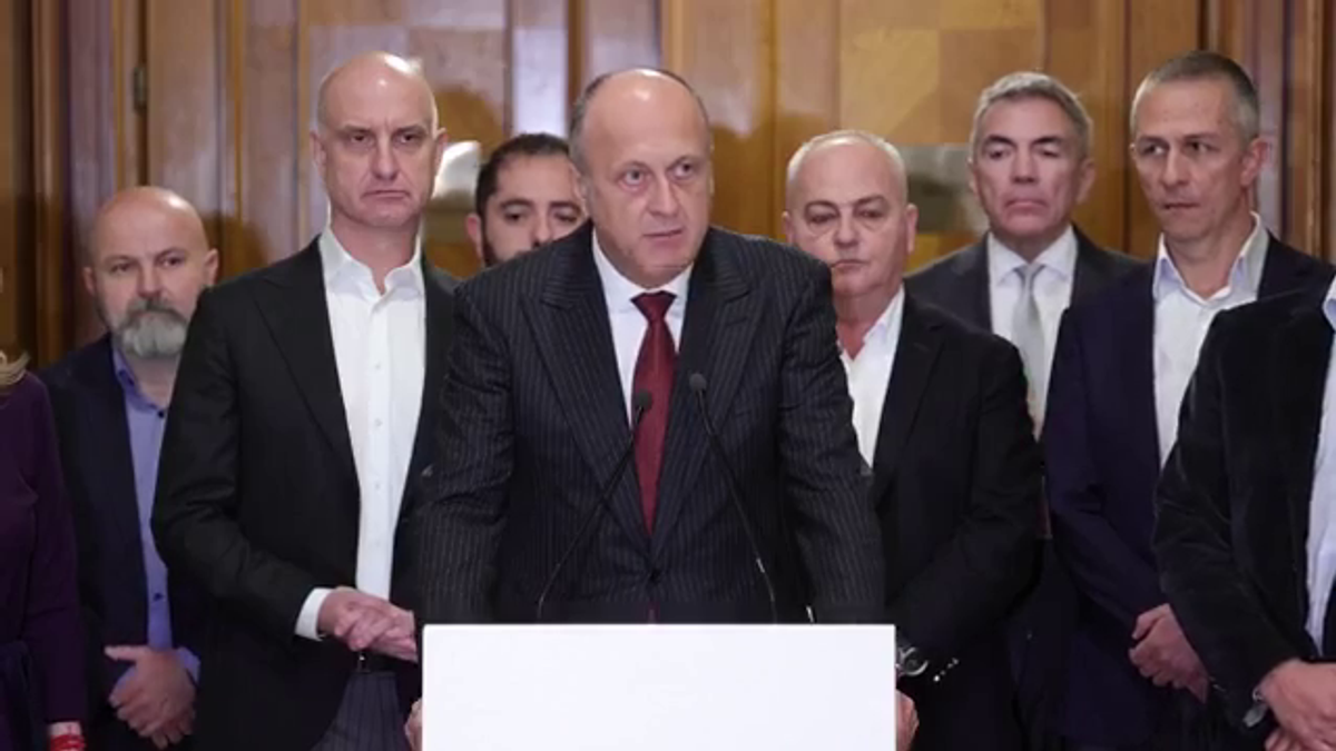 Dan Sucu - Parlament