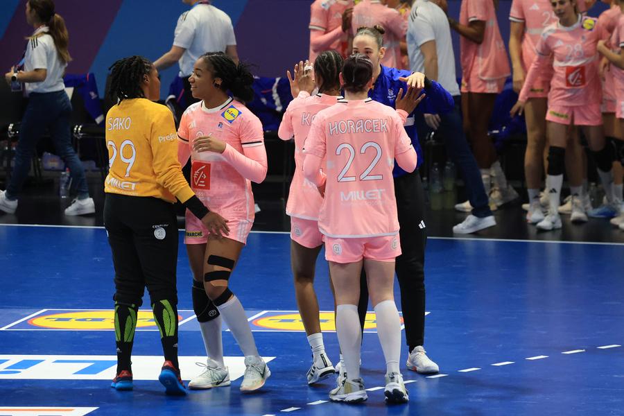 Imagini de la meciul Franţa - Austria 29-17 FOTO: Ionuţ Iordache (GSP) Favorita Franța a venit cu baricada la Rotterdam! A avut nevoie de o repriză pentru adaptare