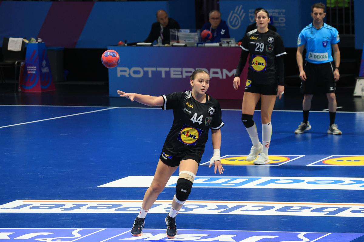 Franţa - Austria 29-17
