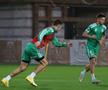 Antrenament Sepsi - Antalya // 05.01.2024