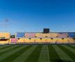 Dan Șucu, prezent pe stadionul Via del Mare, înainte de Lecce - Genoa. Foto: Instagram