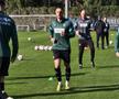 Virgil Ghiță, în Hannover - Monchengladbach, partidă de pregătire din Antalya // foto: Eduard Apostol (GSP)