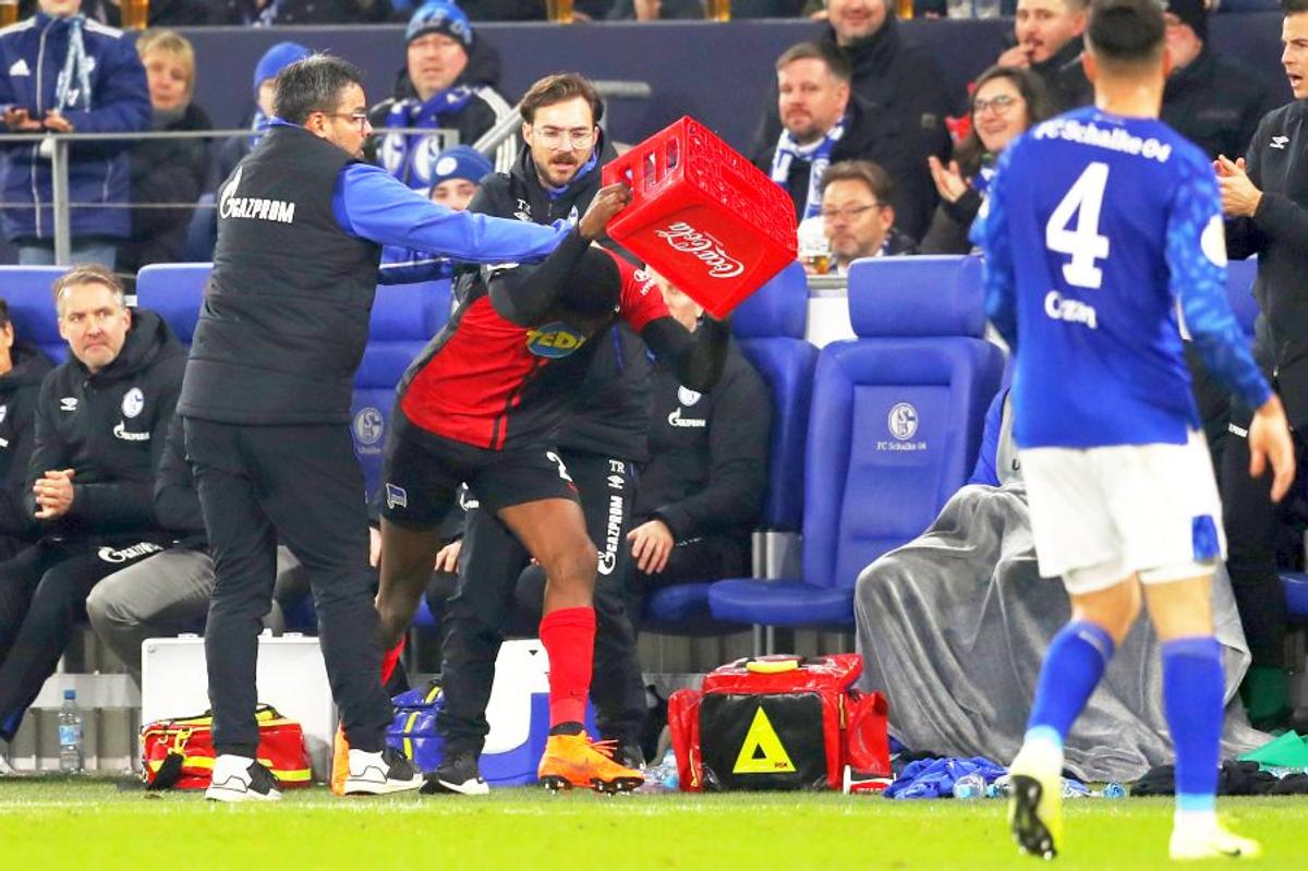 Rasism în Schalke - Hertha 3-2