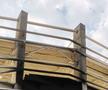 Fotografii furnizate de un cititor GSP care locuiește în zonă