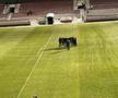 „Se vorbește prea puțin despre el” » Pe cine a remarcat fostul campion al României după derby-ul cu FCSB