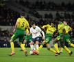 FOTO + VIDEO Scene incredibile! Vedeta lui Tottenham a sărit în tribune să se bată cu fanul: „E fratele meu, e fratele meu!"