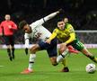 FOTO + VIDEO Scene incredibile! Vedeta lui Tottenham a sărit în tribune să se bată cu fanul: „E fratele meu, e fratele meu!"
