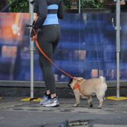 Helena Seger, soția lui Zlatan Ibrahimovic / foto: Imago