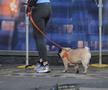 Helena Seger, soția lui Zlatan Ibrahimovic / foto: Imago