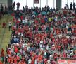 UTA o trimite pe Botoșani cu un pas mai aproape de Liga 2 » Cum arată clasamentul ACUM din play-out