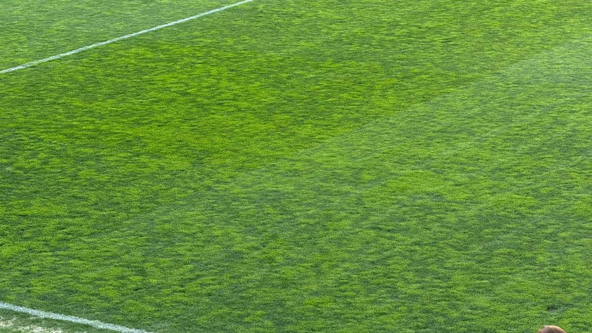 8 detalii de la Rapid - U Cluj » Scandări împotriva Legii 4, gest special pentru Mircea Lucescu + noul „transfer” la primul meci