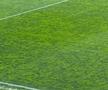 8 detalii de la Rapid - U Cluj » Scandări împotriva Legii 4, gest special pentru Mircea Lucescu + noul „transfer” la primul meci