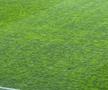 8 detalii de la Rapid - U Cluj » Scandări împotriva Legii 4, gest special pentru Mircea Lucescu + noul „transfer” la primul meci