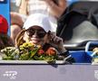 Finala Țiriac Open 2026 - Simona Halep Foto: Cristi Preda