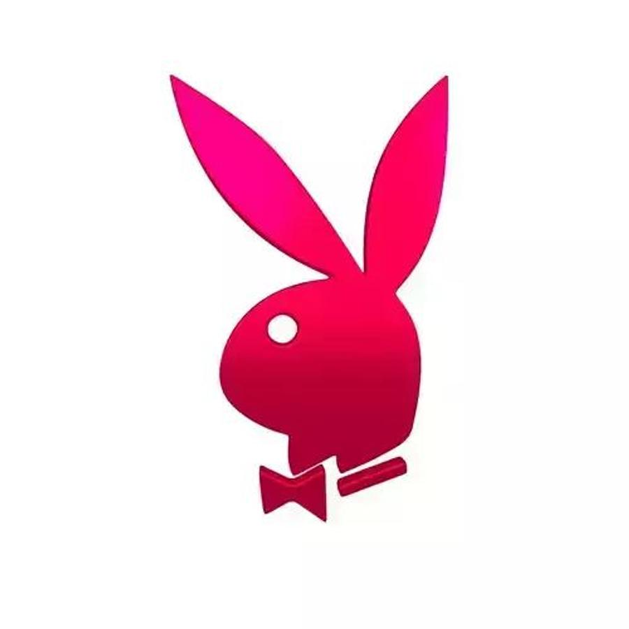 Celebrul logo Playboy spre care Borcea face trimitere „Poză de Playboy!” » Cristi Borcea, devastator în „războiul siglei