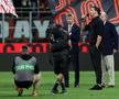 Imagini spectaculoase cu Zlatan Ibrahimovic