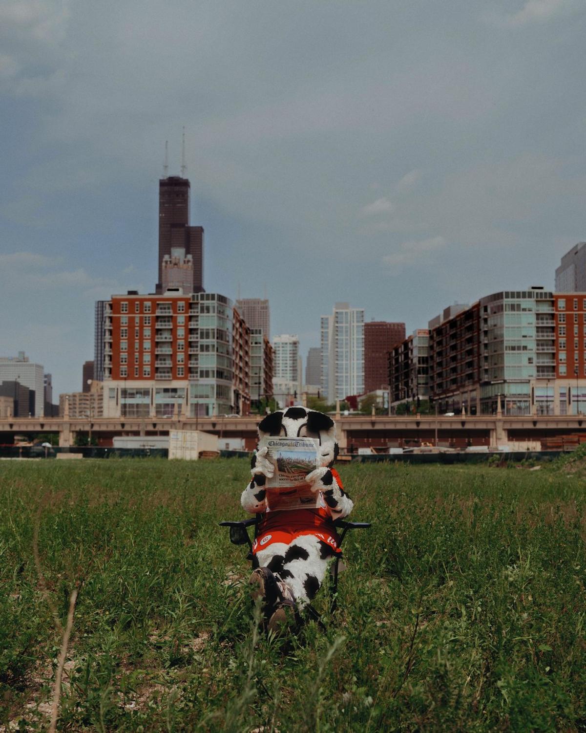 Stadionul Chicago Fire / foto: X