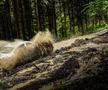 Borsec, prezent la Raliul Moldovei 2021, etapă ce face parte și din calendarul FIA - European Rally Trophy