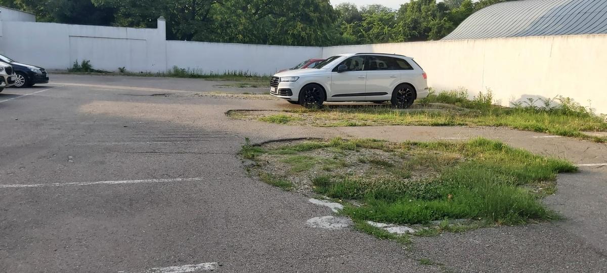 Imaginile nepăsării! Cum arată Baza Tineretului, părăsită de peste 4 ani » Jurassic Park de România: vegetația a „mâncat” bazinul olimpic