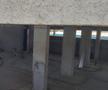Ștrandul rațelor sălbatice » De 4 ani, autoritățile blochează renovarea Bazei Tineretului