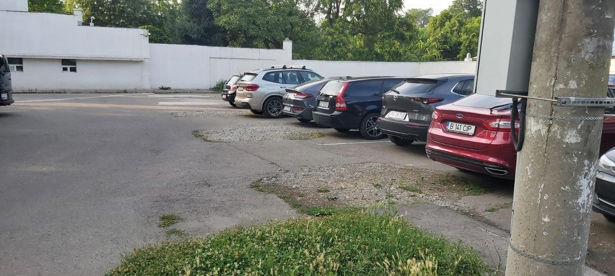 Imaginile nepăsării! Cum arată Baza Tineretului, părăsită de peste 4 ani » Jurassic Park de România: vegetația a „mâncat” bazinul olimpic