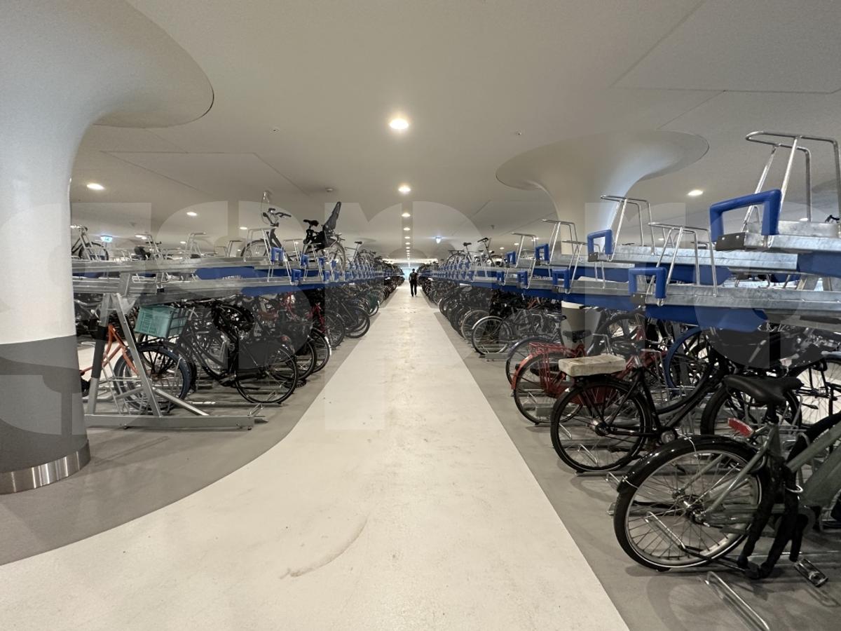 Reportaj: În timp ce România devine țară-pharma, Olanda e plină de bicicliști!