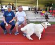 Echipa GSP a analizat de aproape evoluția jucătorilor lui Dinamo » Cum s-au descurcat „câinii” la duelul cu echipa lui Mircea Lucescu