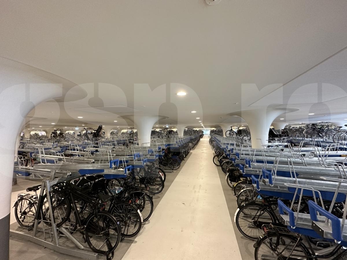 Reportaj: În timp ce România devine țară-pharma, Olanda e plină de bicicliști!