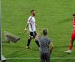 FOTO U Cluj - Dinamo 1-1 (PARTEA 1)