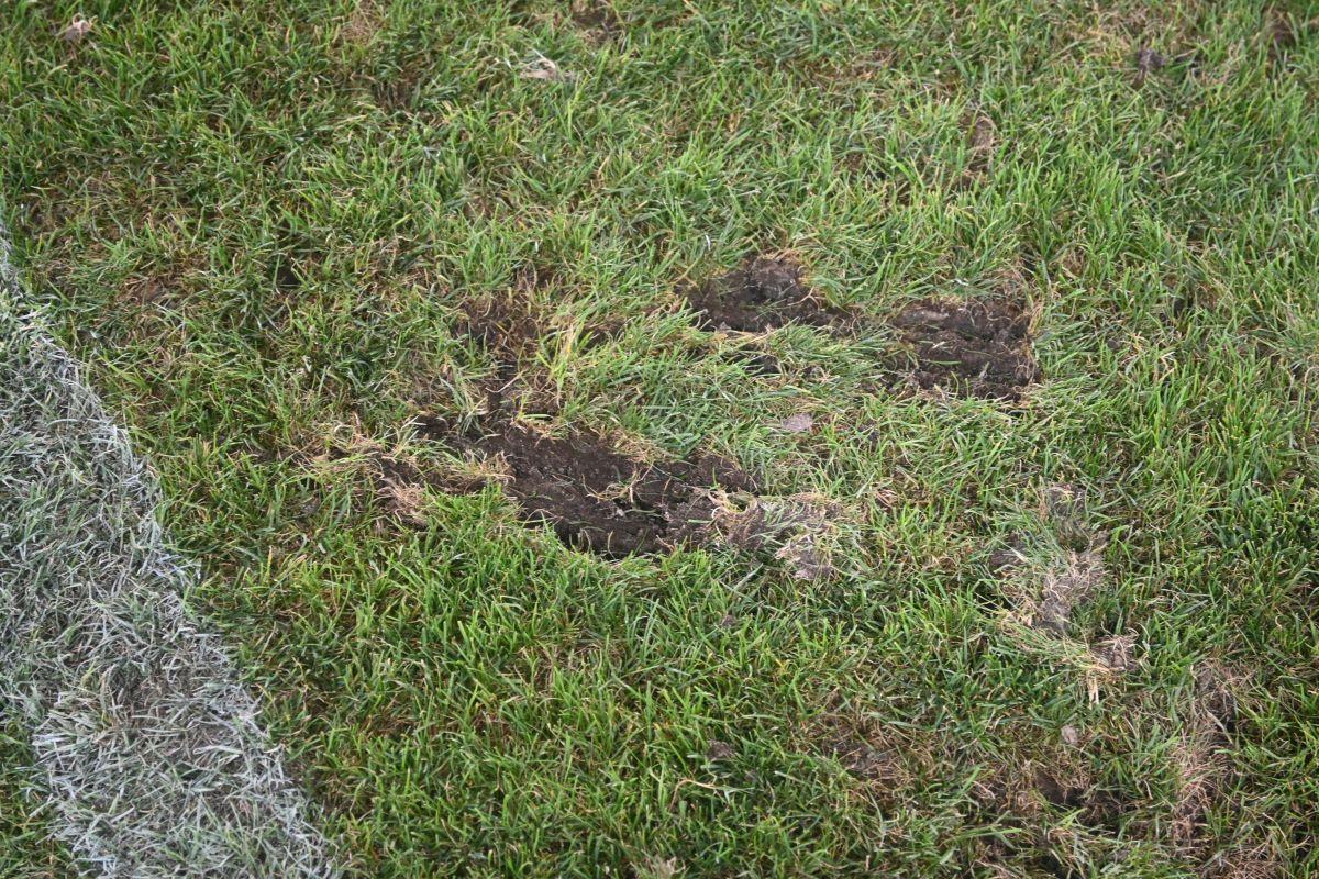 Reporterii GSP au inspectat gazonul de pe „Arc” imediat după România - SUA » Suprafață IMPOSIBILĂ cu 5 zile înainte de FCSB - Nordsjaelland