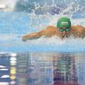Chad le Clos/Foto: Imago Images