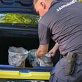 Fanii din Israel prezenți în România pentru meciul de Conference League au fost săltați de Jandarmerie! Cumpărau torțe din portbagajul unui taxi