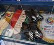 GSP a vizitat muzeul lui Gică Hagi de la Academie » Tricouri de la CM 1994, trofee și un colț special dedicat Gazetei Sporturilor: „Fotbalul și familia mi-au marcat viața!”